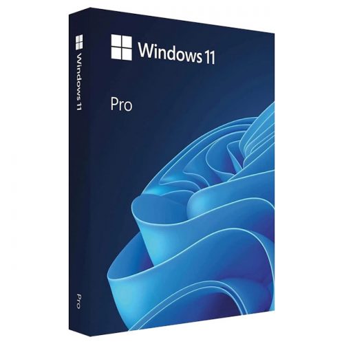 Windows 11 Pro - 1 PC